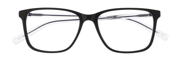 James Leonard Cameron