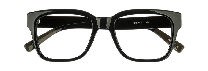 James Leonard Shiro