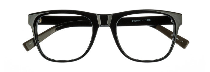 James Leonard Seamos