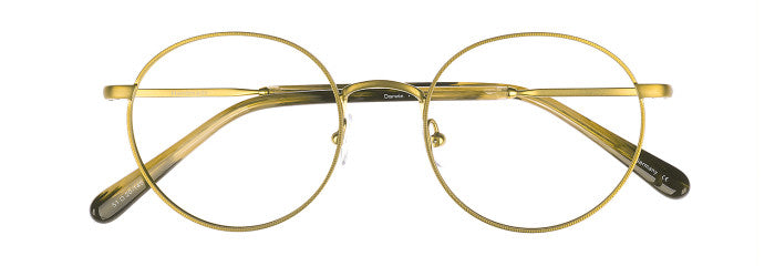 James Leonard Darwin