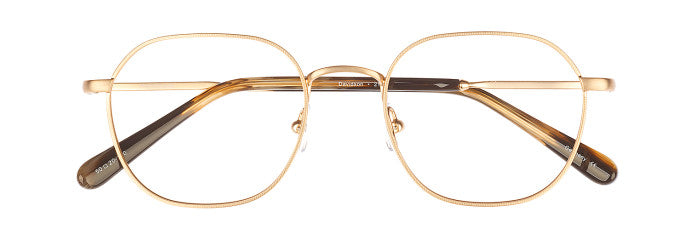 James Leonard Davidson