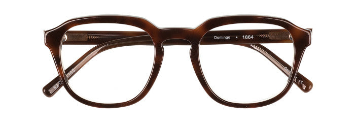 James Leonard Domingo