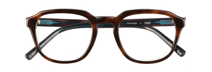 James Leonard Domingo