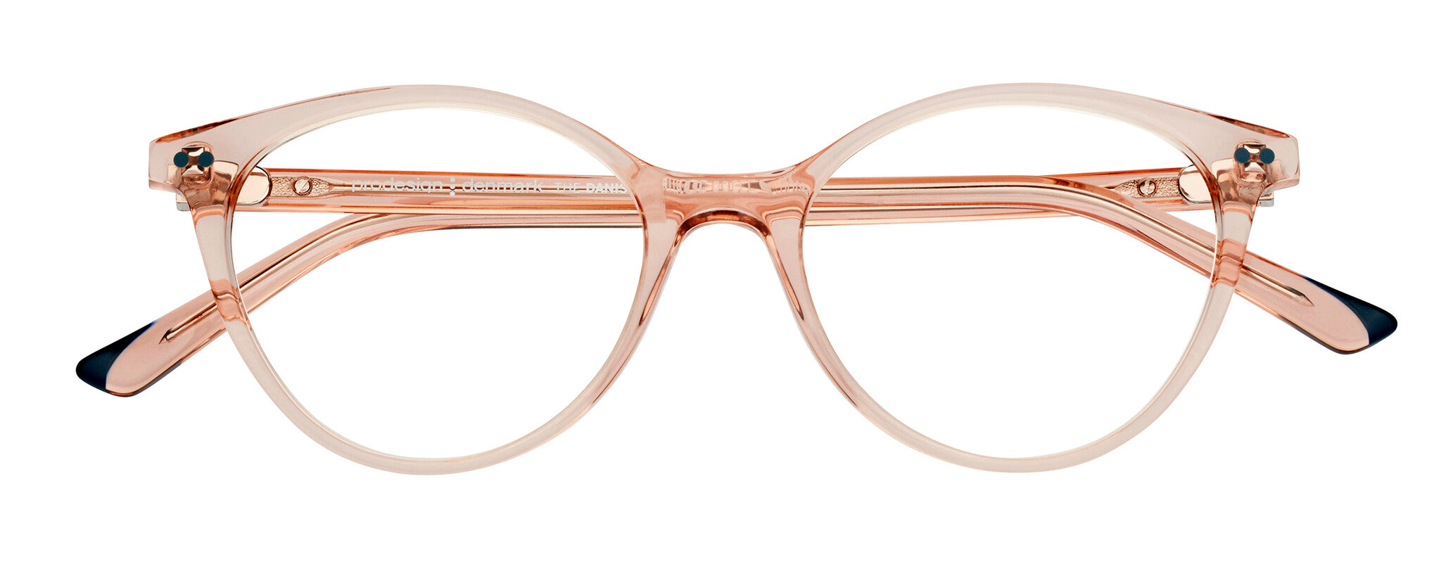 ProDesign Model 3605 Eyeglasses