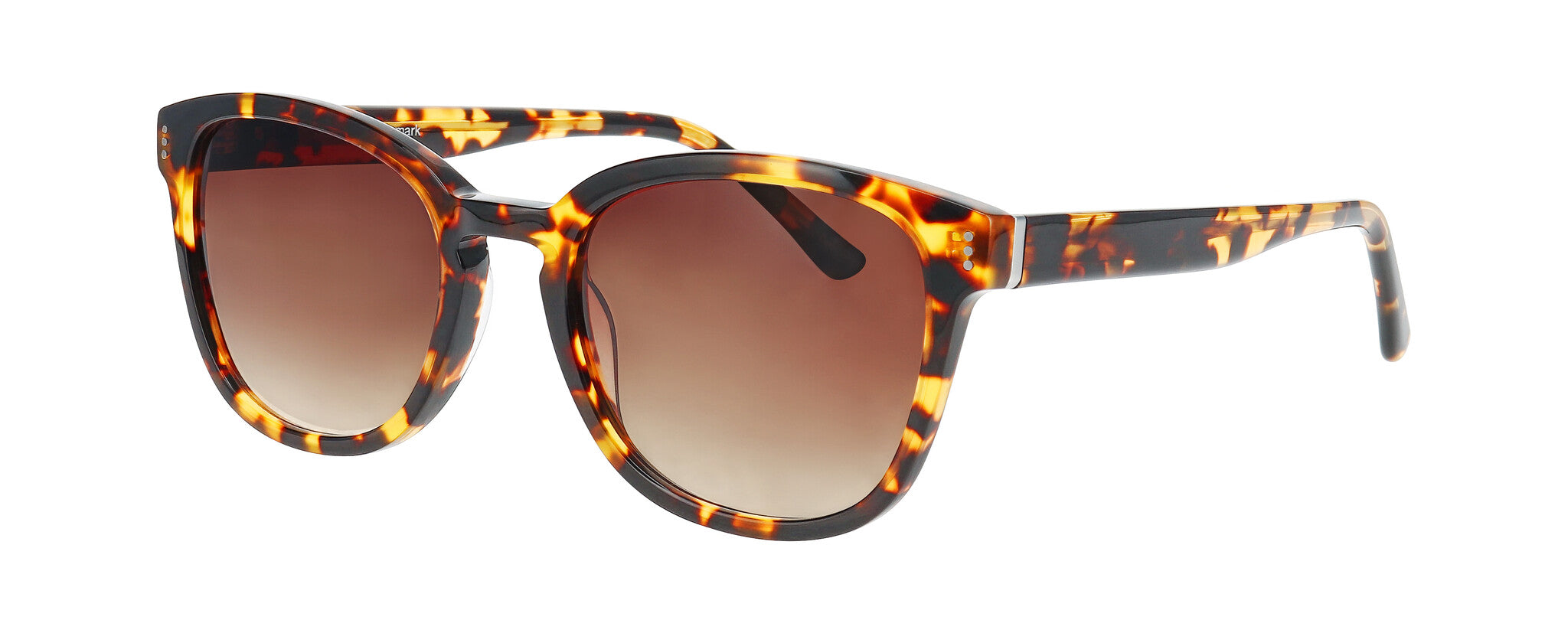 ProDesign HAZE 2 S Sunglasses