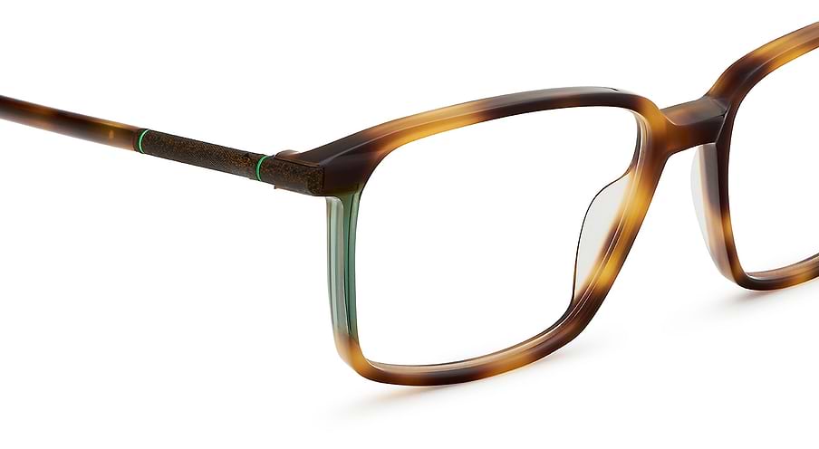 Etnia Barcelona ROADRUNNER HVGR