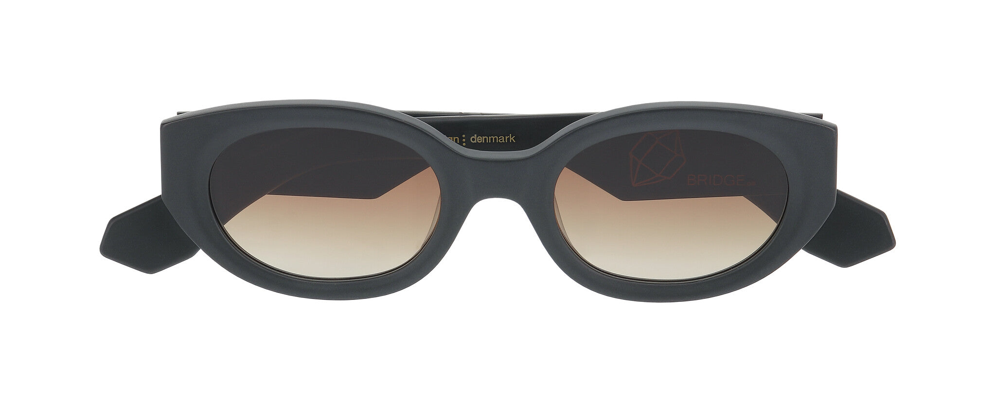 ProDesign STEAM Sunglasses