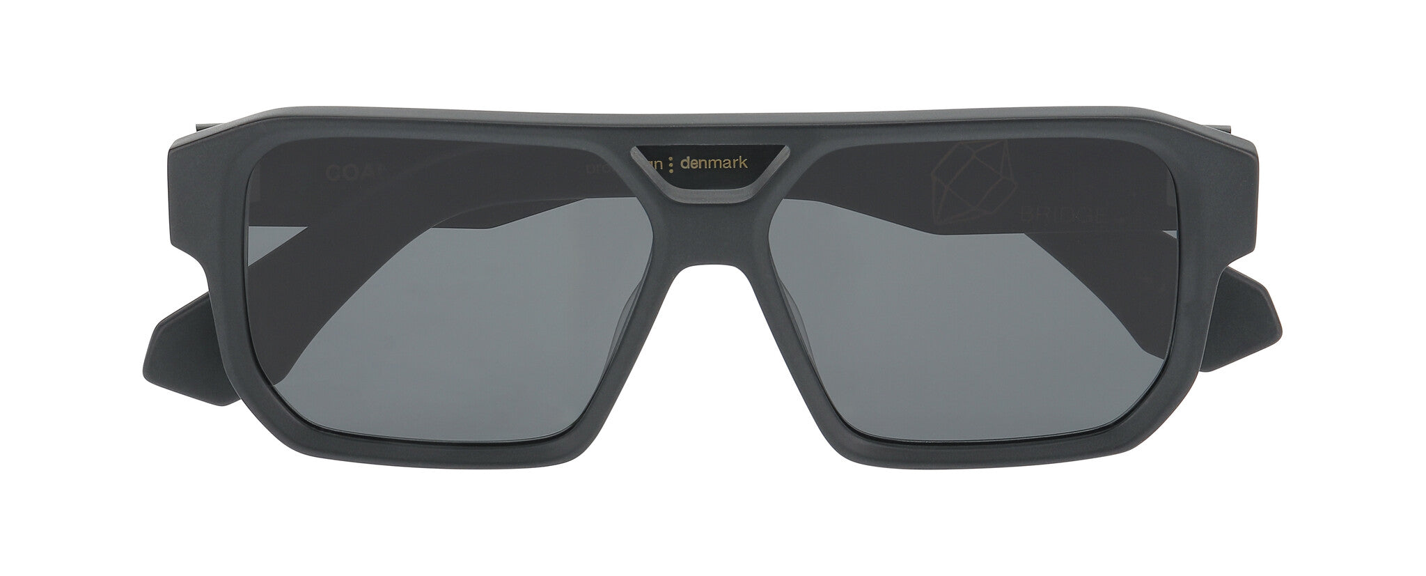 ProDesign COAL Sunglasses