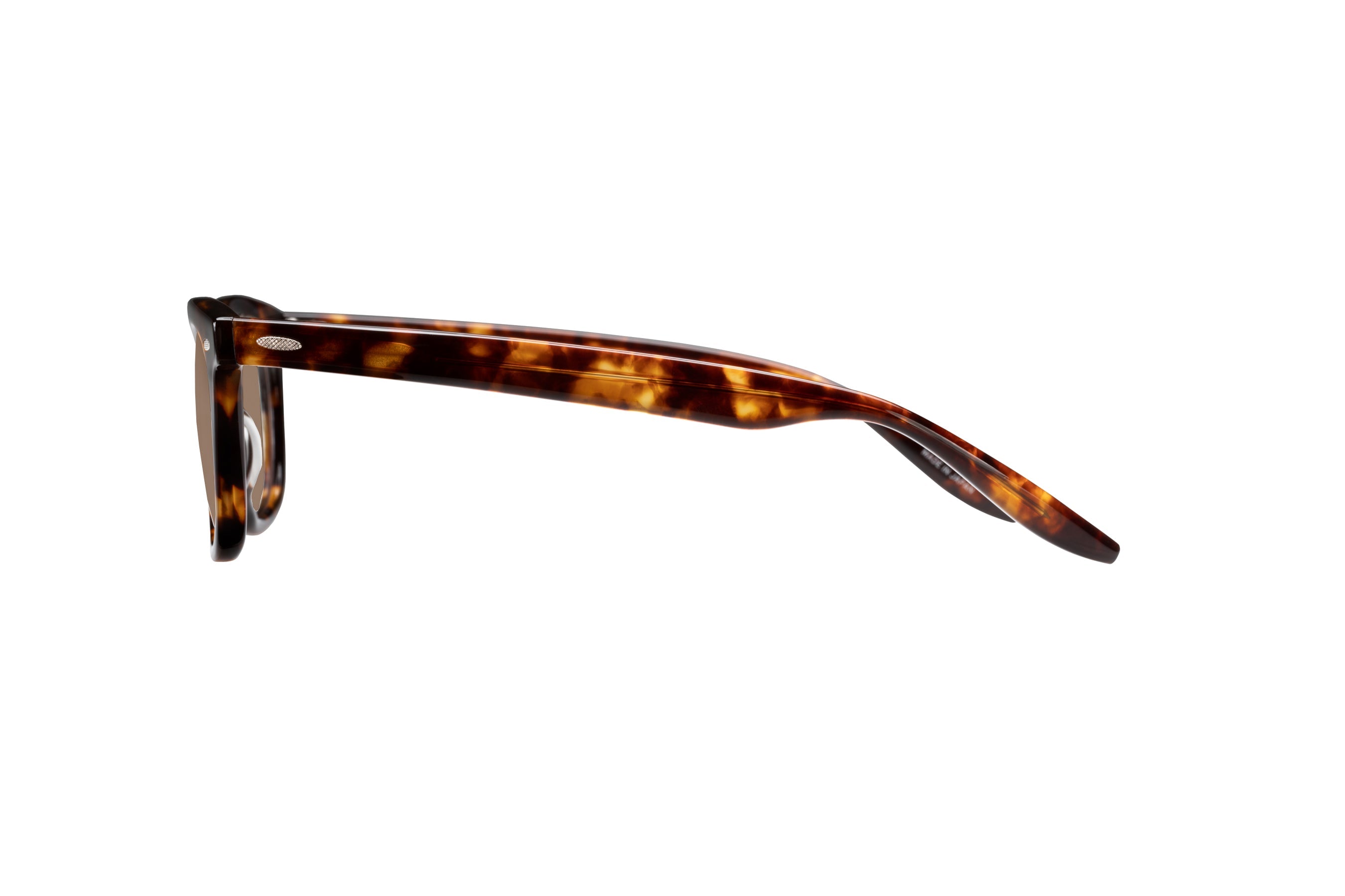 Barton Perreira Cecil (50) Sun Sunglasses