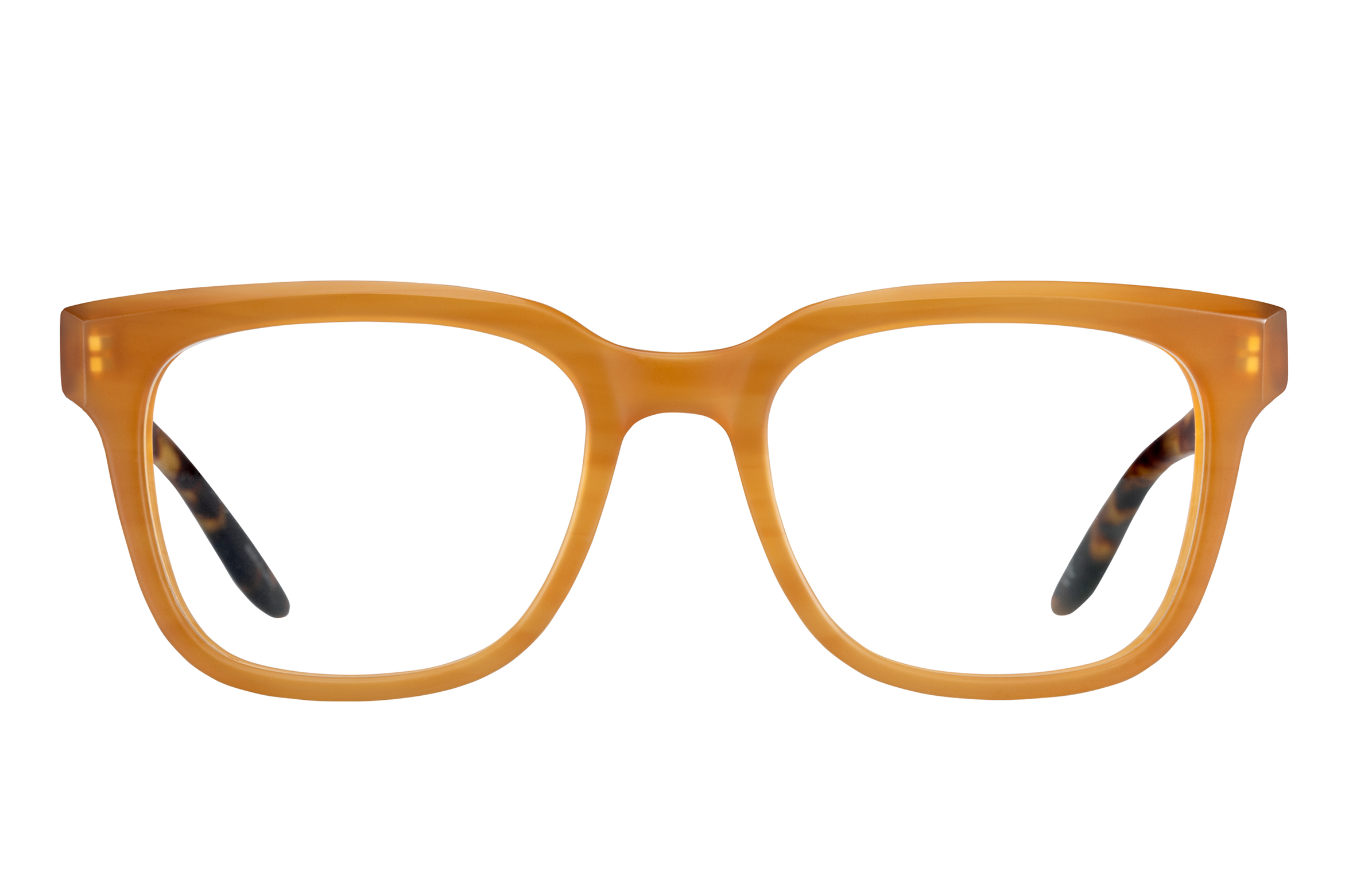 Barton Perreira Chisa Eyeglasses
