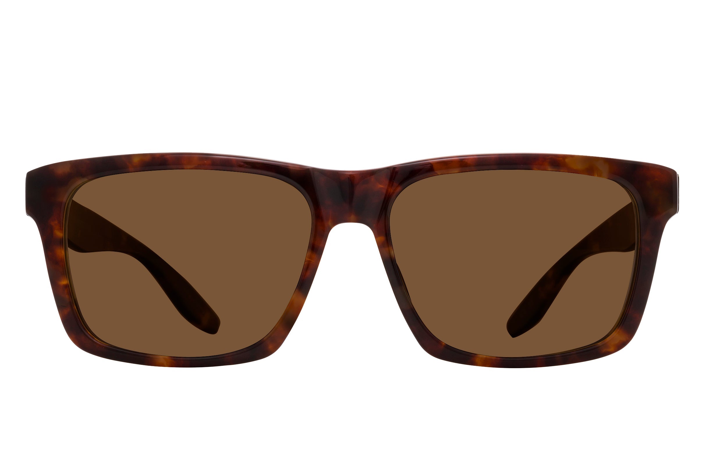 Barton Perreira Walker Sunglasses