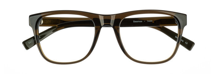 James Leonard Seamos