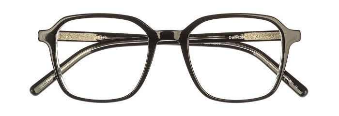 James Leonard Damaris