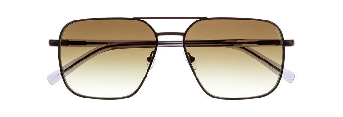 James Leonard Dominick