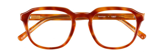 James Leonard Domingo