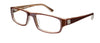 ProDesign Model 7617 EyeGlasses