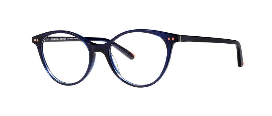 ProDesign Model 3605 Eyeglasses