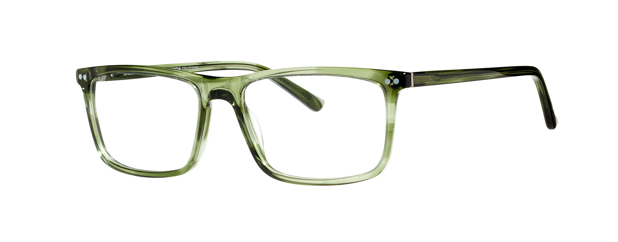 ProDesign Model 3619 Eyeglasses