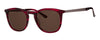 ProDesign Model 8666 Sunglasses