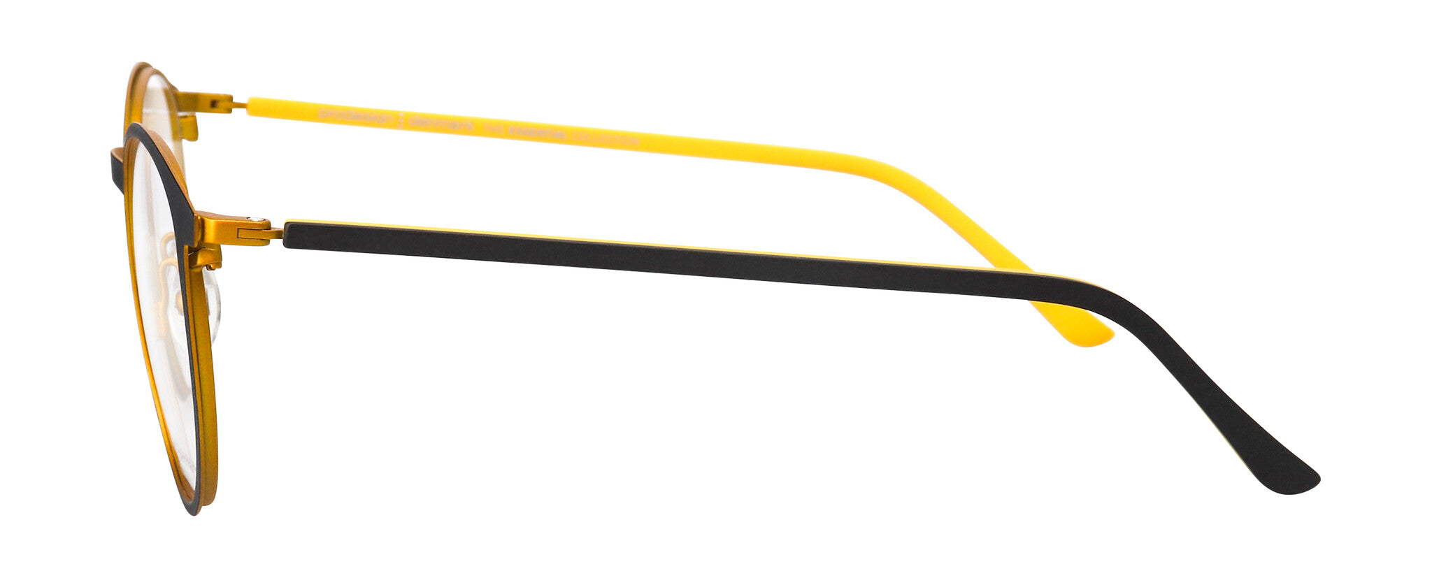 ProDesign Model 3171 Eyeglasses