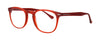 ProDesign Model 3631 EyeGlasses