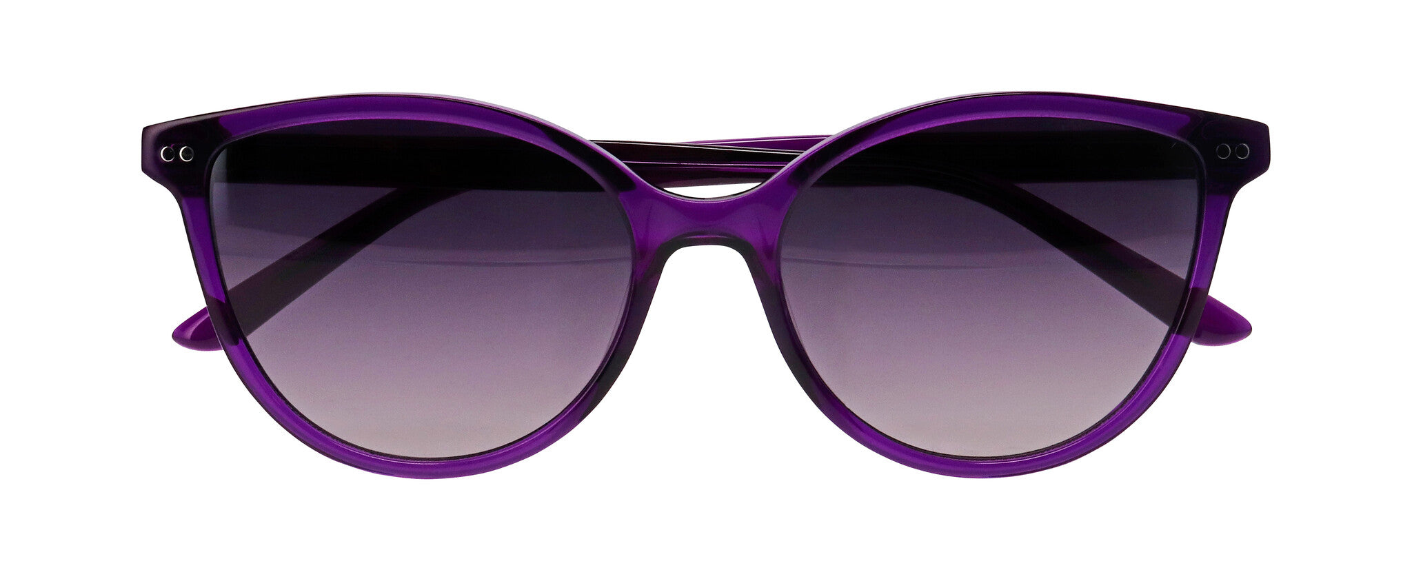 ProDesign Model 8676 Sunglasses