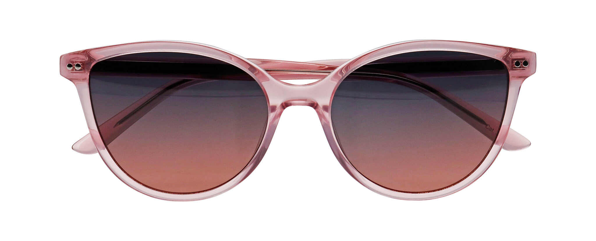 ProDesign Model 8676 Sunglasses