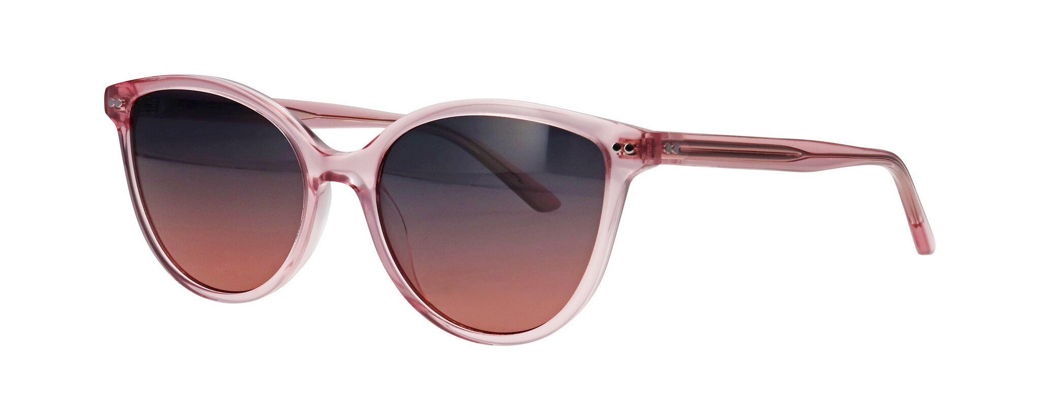 ProDesign Model 8676 Sunglasses