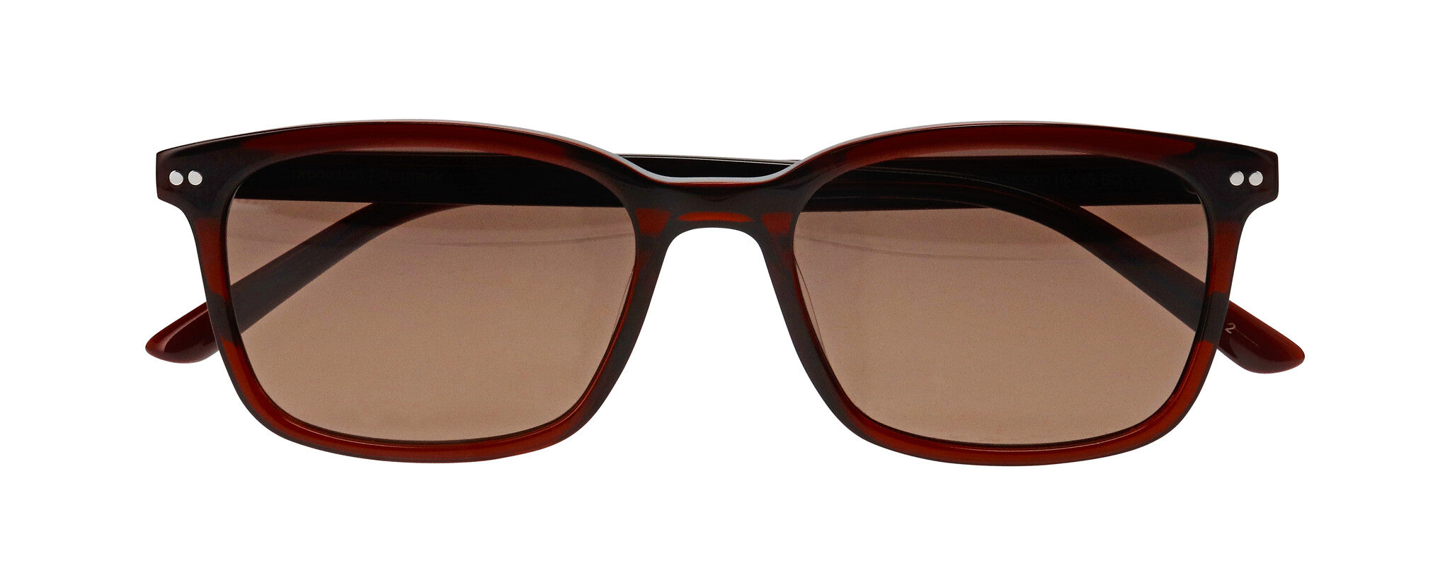 ProDesign Model 8677 Sunglasses