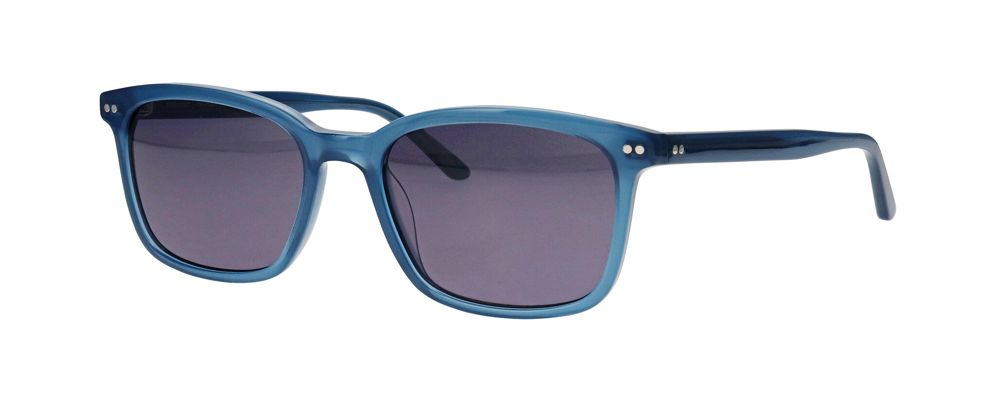 ProDesign Model 8677 Sunglasses