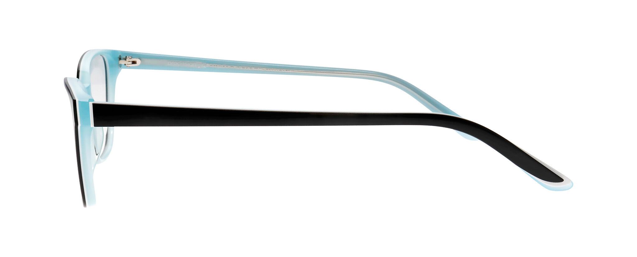 ProDesign Model 3660 Eyeglasses