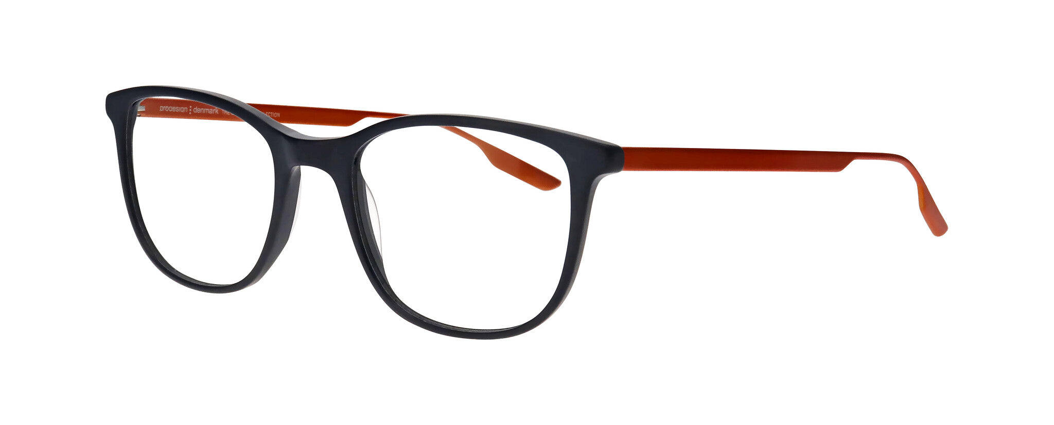 ProDesign Model 3661 Eyeglasses