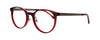 ProDesign Model 4795 Eyeglasses
