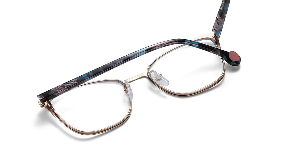 Etnia Barcelona AMMA DBPG