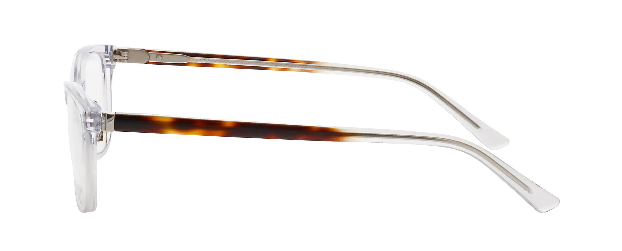 ProDesign Model 3655 Eyeglasses