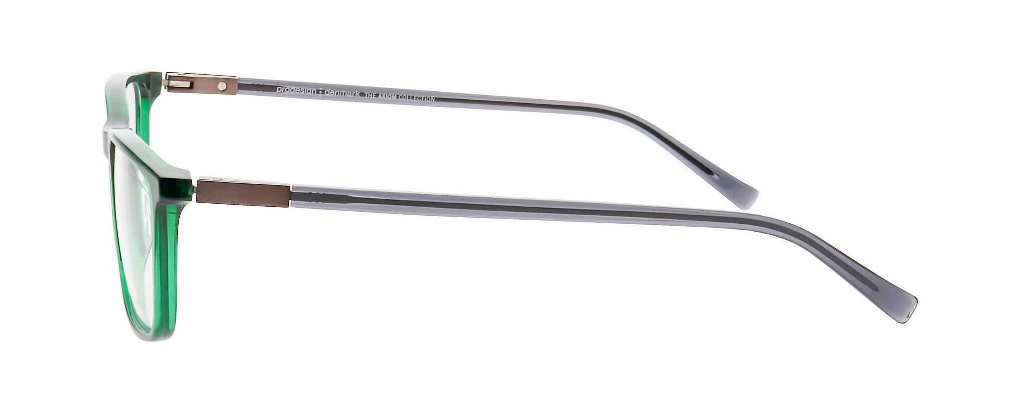 ProDesign Model 6619 Eyeglasses