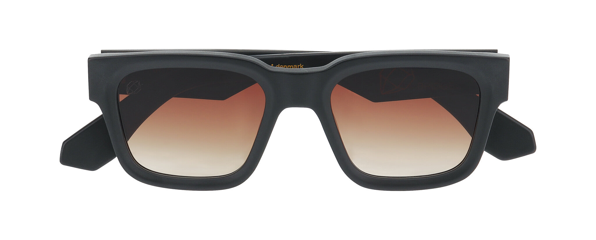 ProDesign IRON Sunglasses