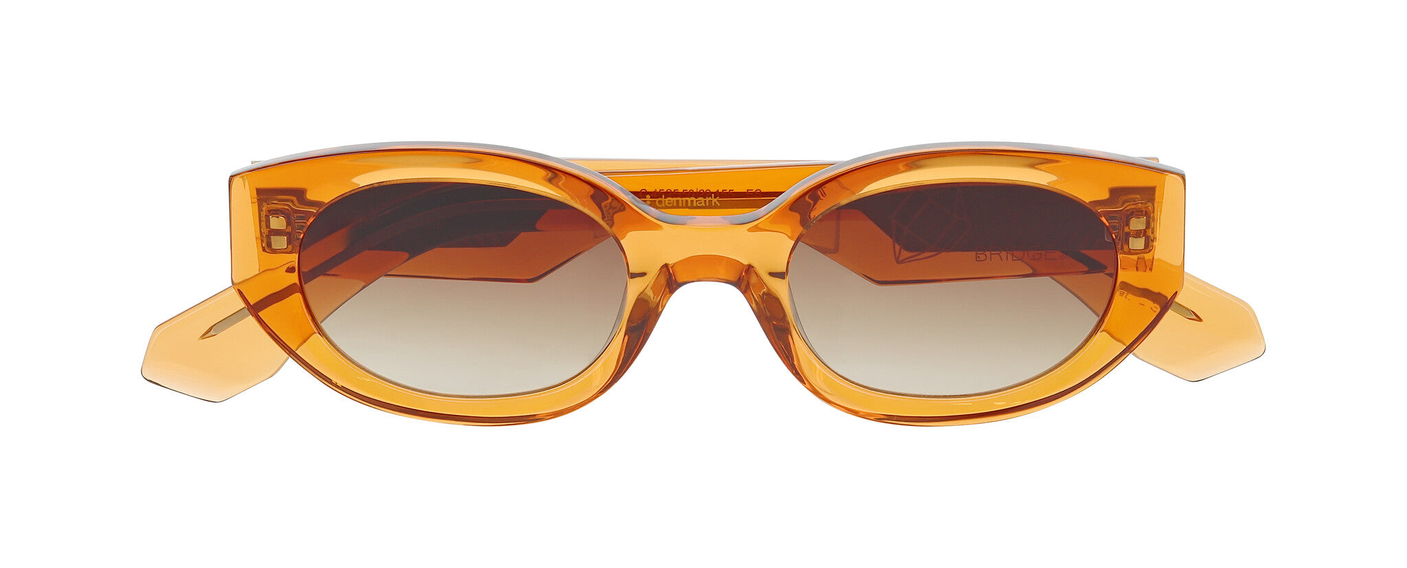 ProDesign STEAM Sunglasses