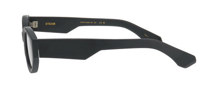 ProDesign STEAM Sunglasses