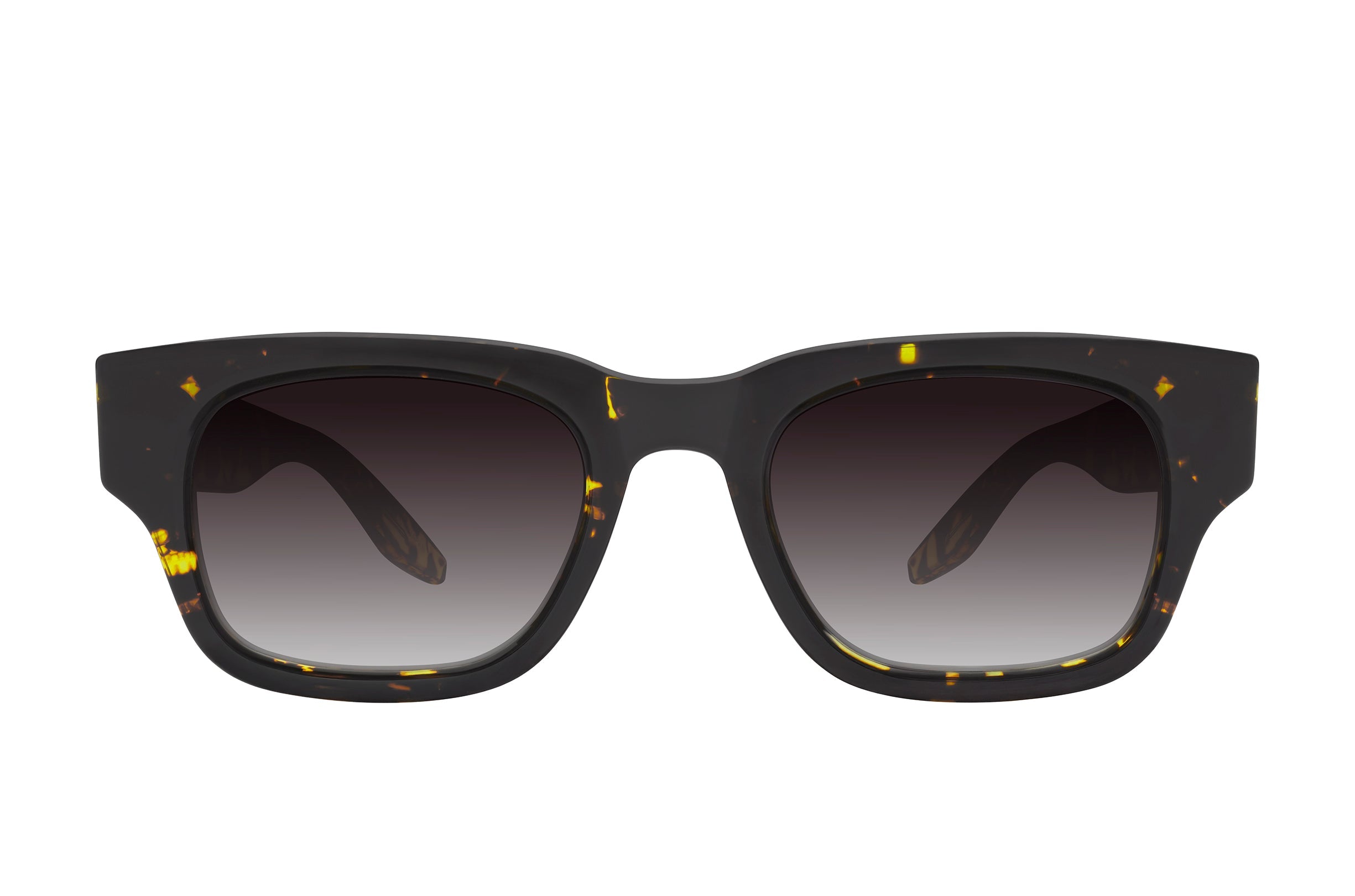Barton Perreira Dondi Sunglasses